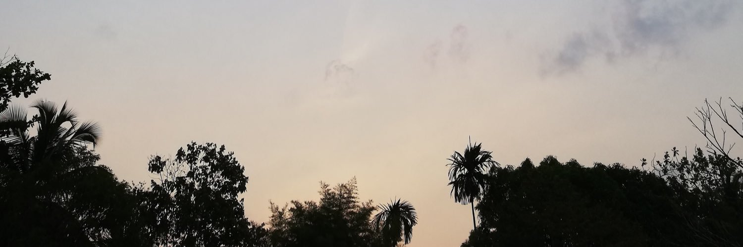 hellomerissa's profile banner image