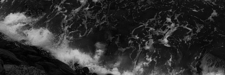 vicalexaa's profile banner image