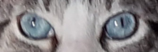 CrisDelTor's profile banner image