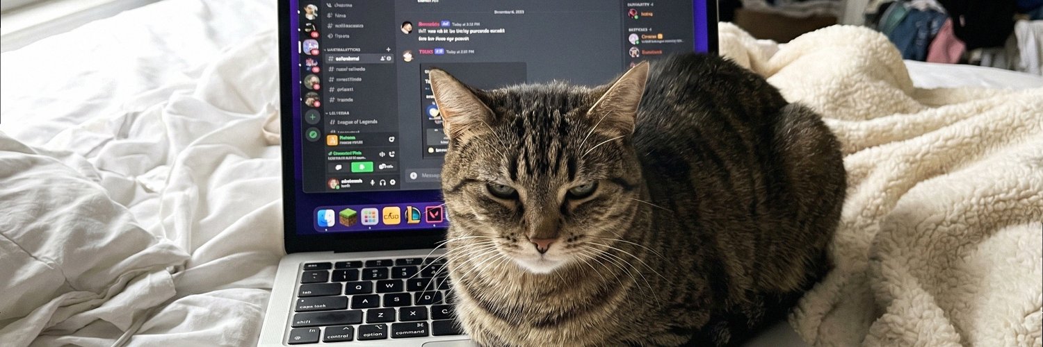 itscozy63's profile banner image
