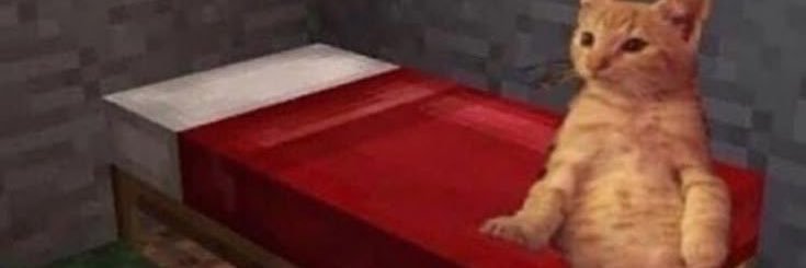 ruisaaw's profile banner image