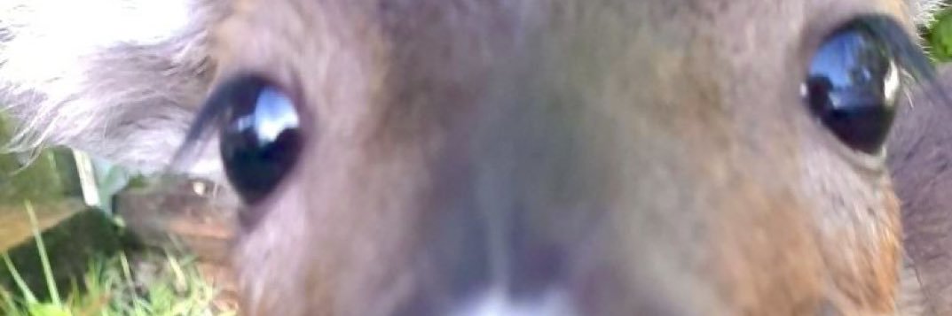 stilledmatic's profile banner image