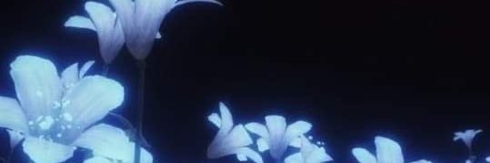 JxazK's profile banner image