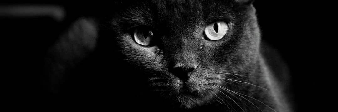 runar_h's profile banner image