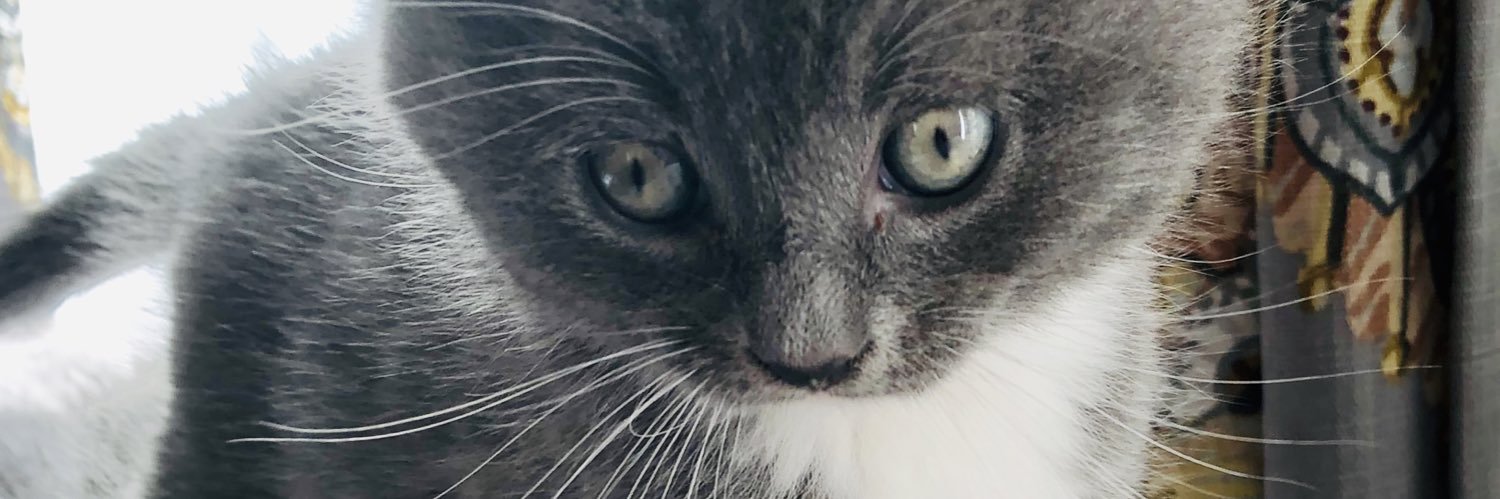 tmjoyjoy's profile banner image