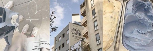chamomilas Profile Banner