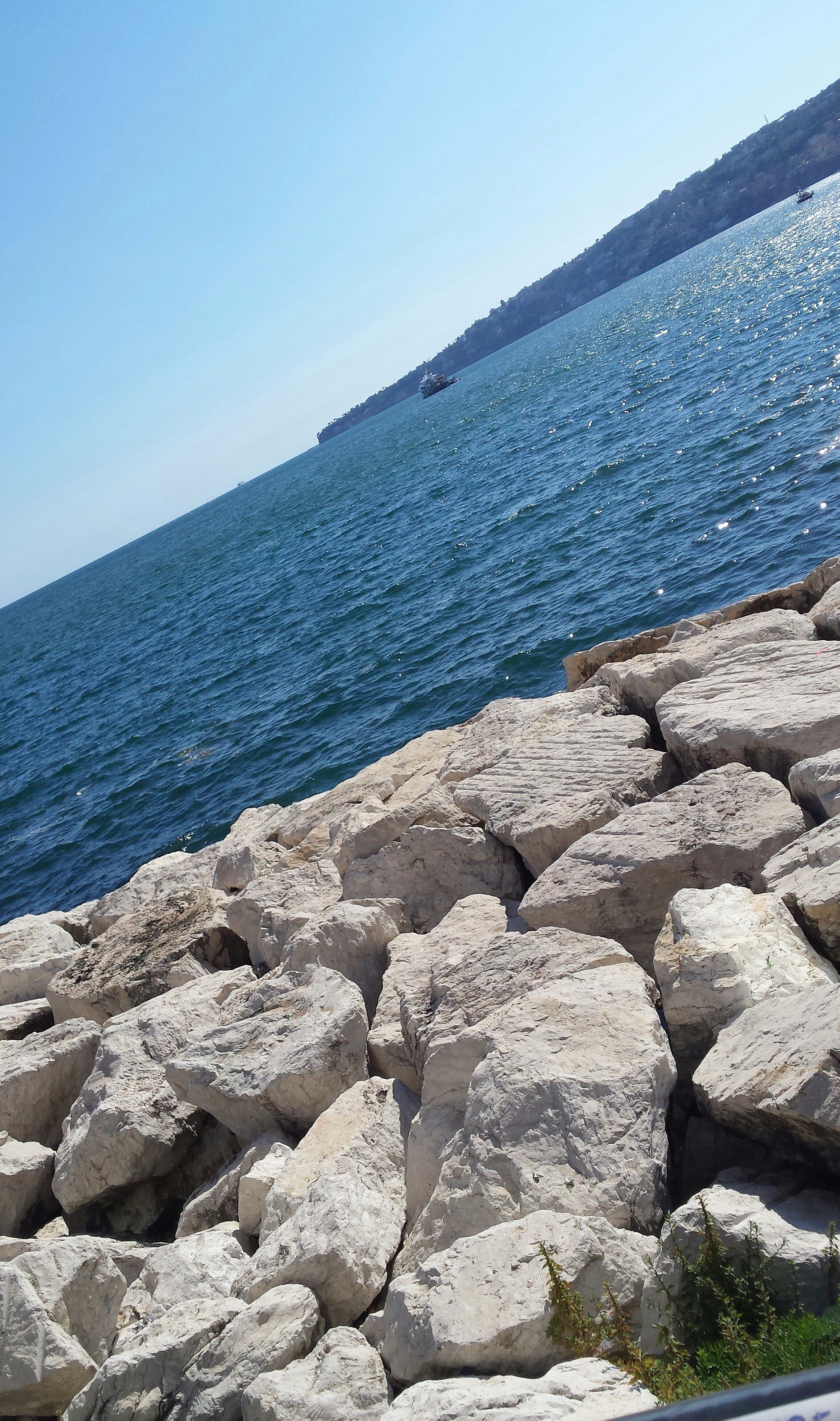 CucciolaLa's profile banner image