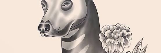 GeovannyTrejo7's profile banner image