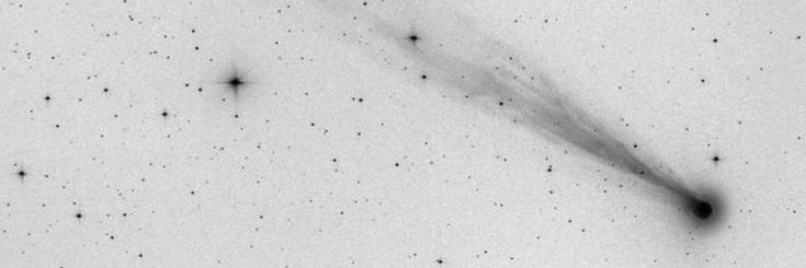 vulpix ☆ロコン banner