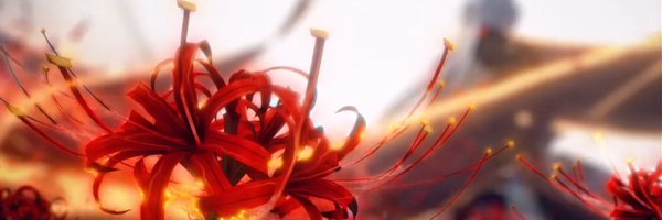 Owlrowl_CR Profile Banner