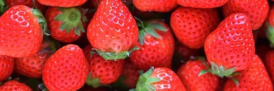 Strawberry Cat's banner