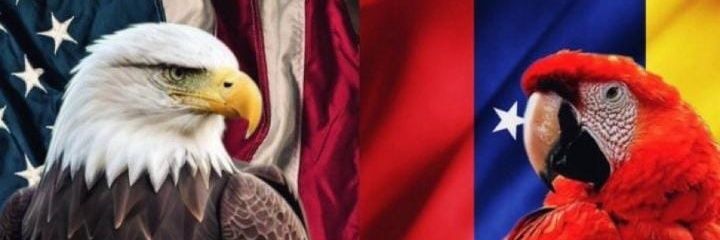 djsirflyer's profile banner image
