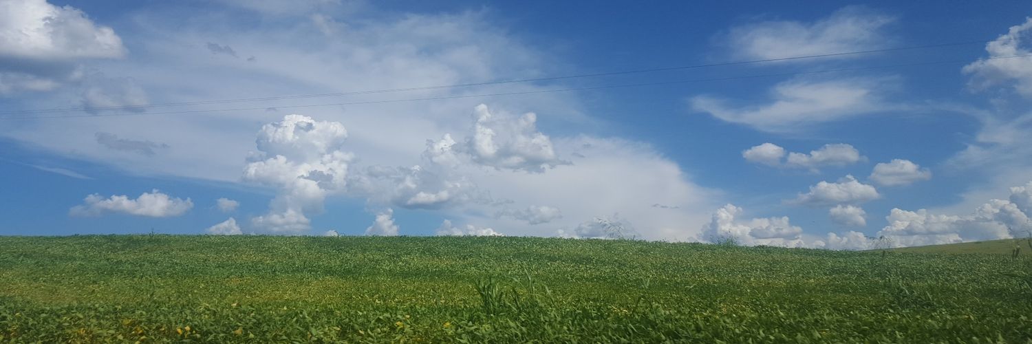 Eliete Druzian banner