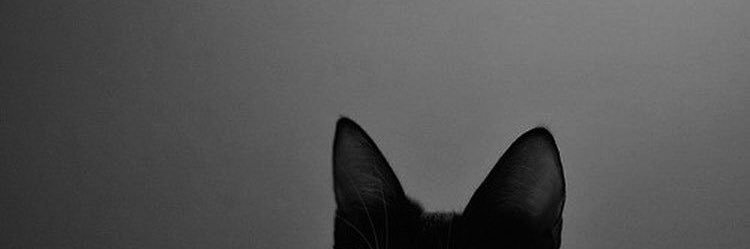 𝓜𝑎𝑟𝑖𝑒♪ banner