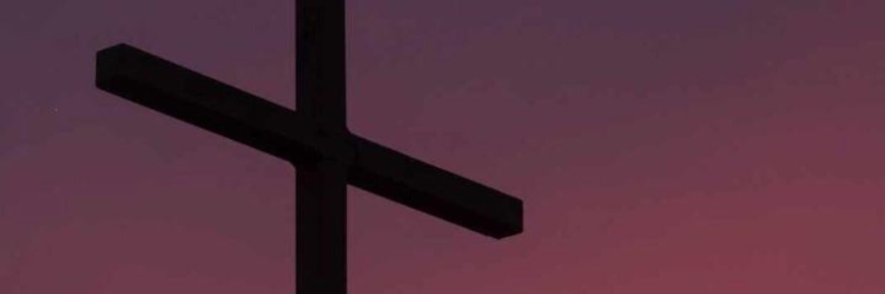 SammYdaniels 👑 banner