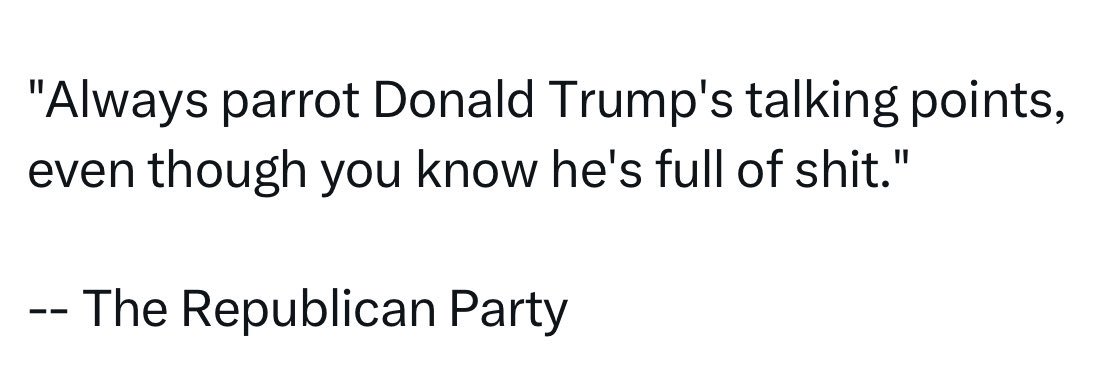 Donna “I dissent” 🇺🇸 🌊🌻☮️ 🌈 banner