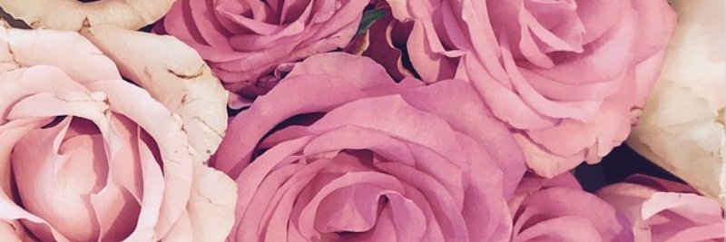 prettylilliz's profile banner image