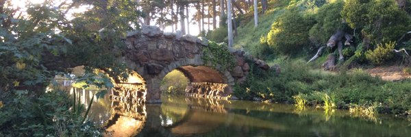 imabhiprasad Profile Banner