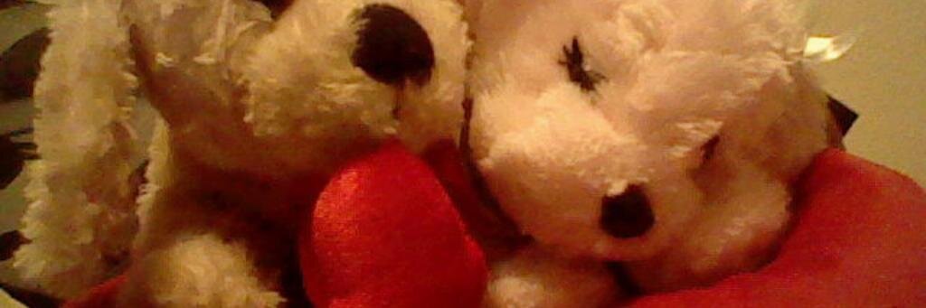 donrmor's profile banner image