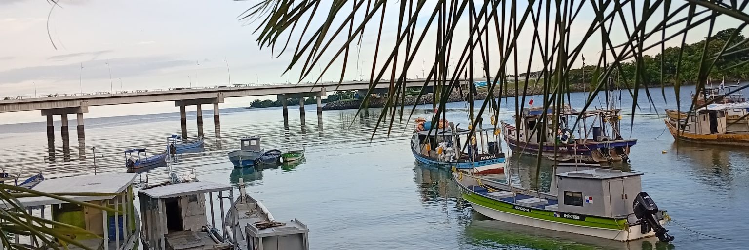 🌺 Farida Bhiku🌺 banner