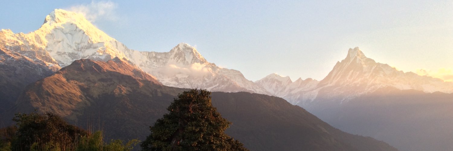 Sharon Chadwick banner