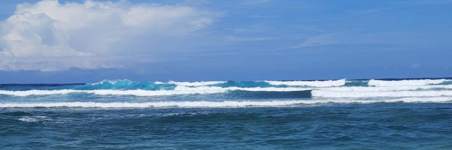 alyssaurus's profile banner image