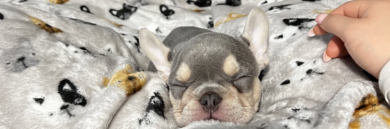 emilykimmm's profile banner image