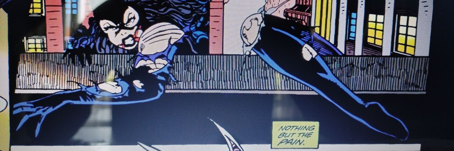 NightNomi's profile banner image