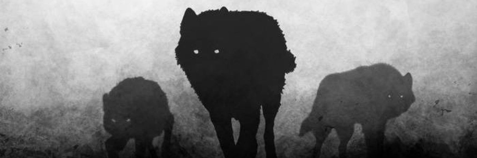 👻🐺 banner