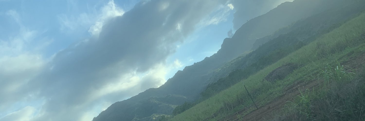 CurliciousChic's profile banner image