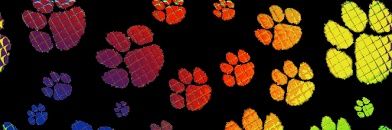 Sharptooth34's profile banner image