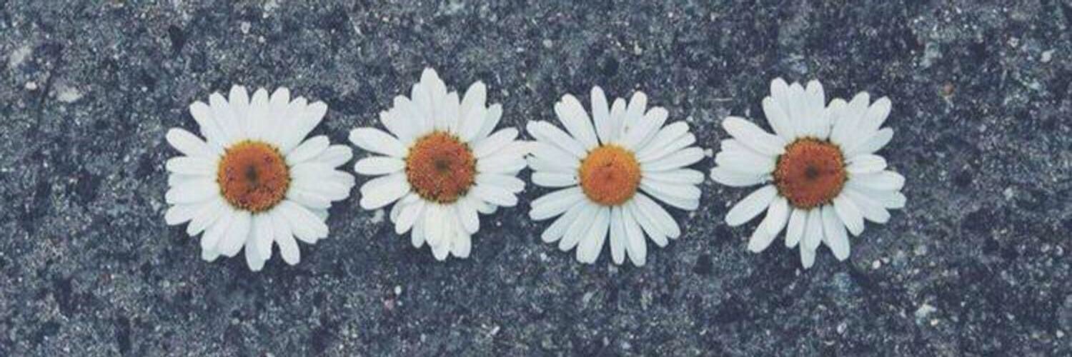 JulietaPreza's profile banner image