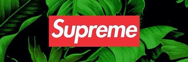 _lpires7's profile banner image