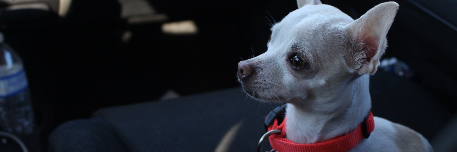 JulieeLopez's profile banner image
