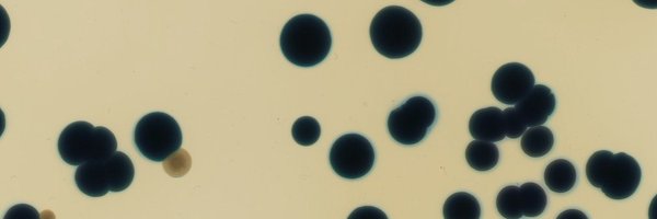 MRebolleda Profile Banner