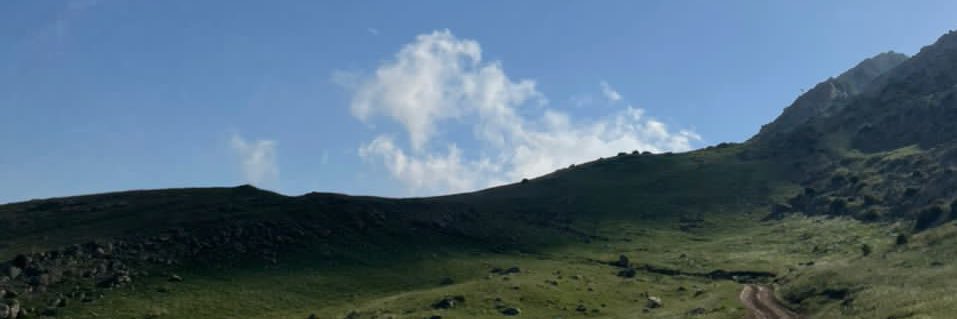 نَسَخ banner
