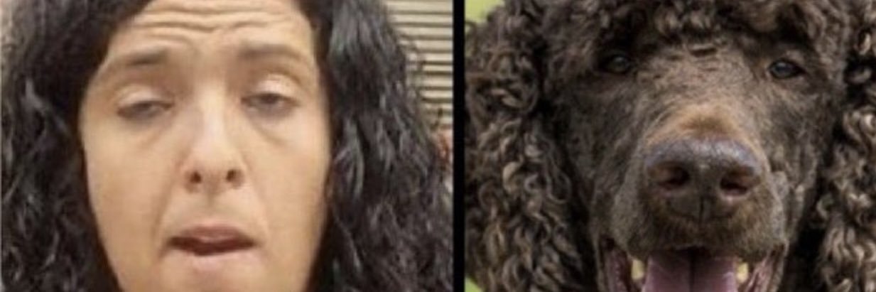 🇫🇷🇫🇷Benabar84🇫🇷🇫🇷 banner