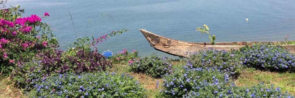 esther_ochora's profile banner image
