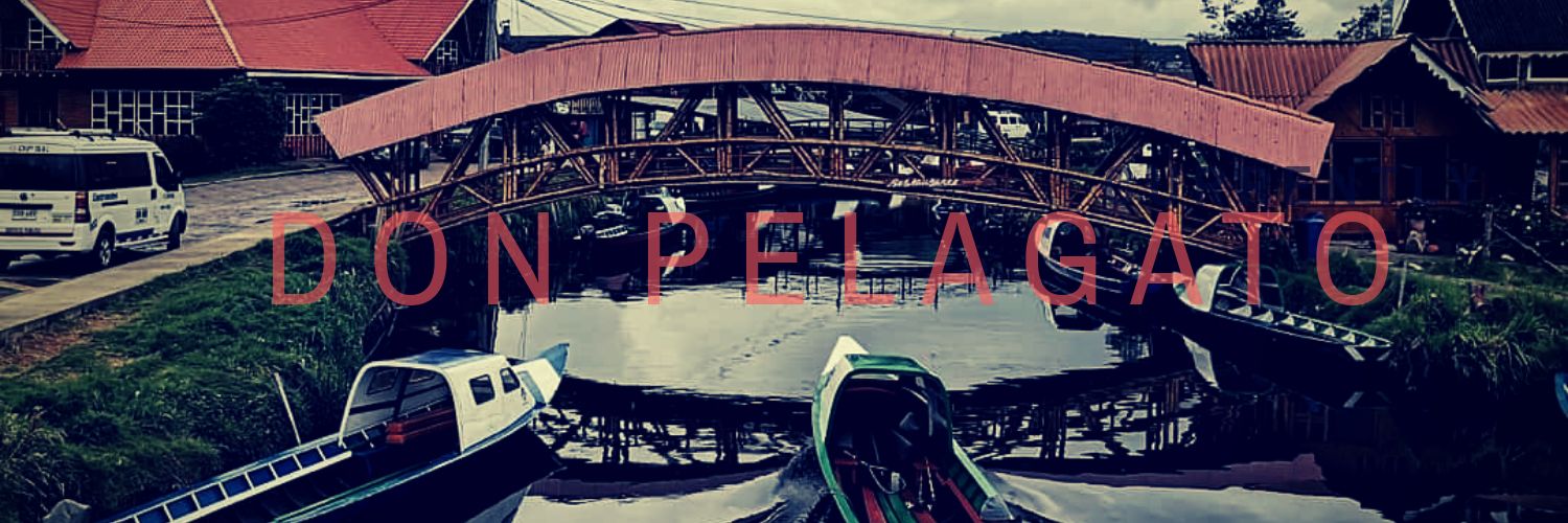 perroferal's profile banner image