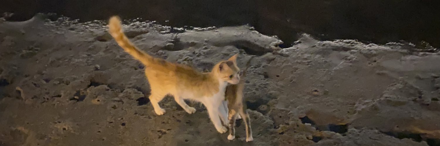 idxi0's profile banner image