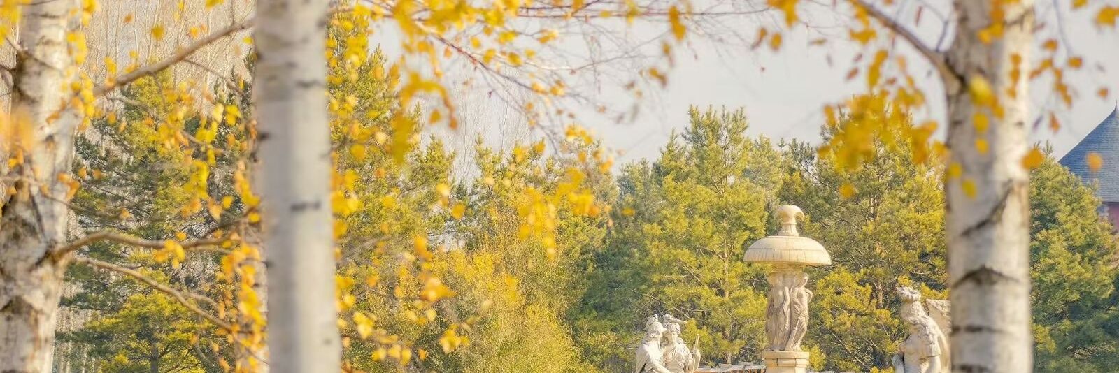 𝕰𝖉𝖎𝖙𝖍｜兰鸩 banner