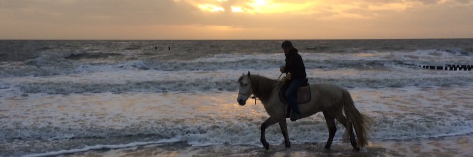 Maarten Ducrot banner