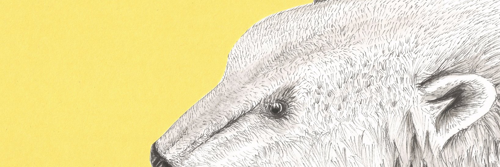 hpidds's profile banner image