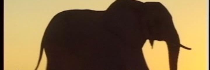 ValeMarchiotti's profile banner image