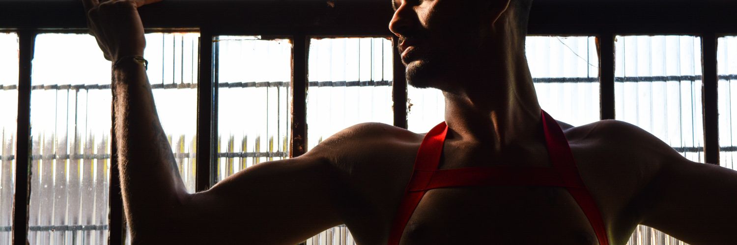 David Romão banner