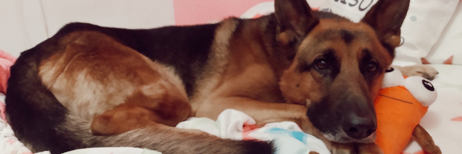 DieciochoMaria's profile banner image