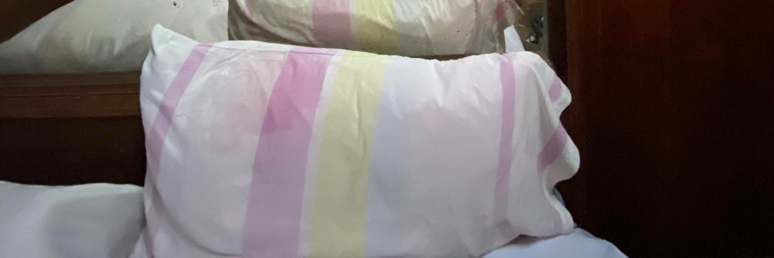 Half Vietnamese banner