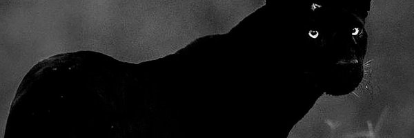 jamesspaulding1 Profile Banner