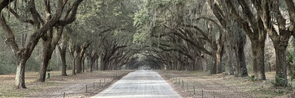 ArcherKMartin Profile Banner