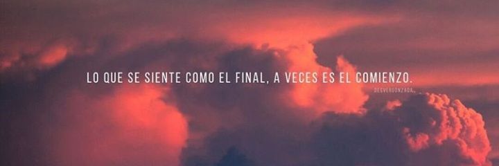 flor_fem's profile banner image